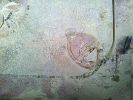 Restoration of terrazzo floor